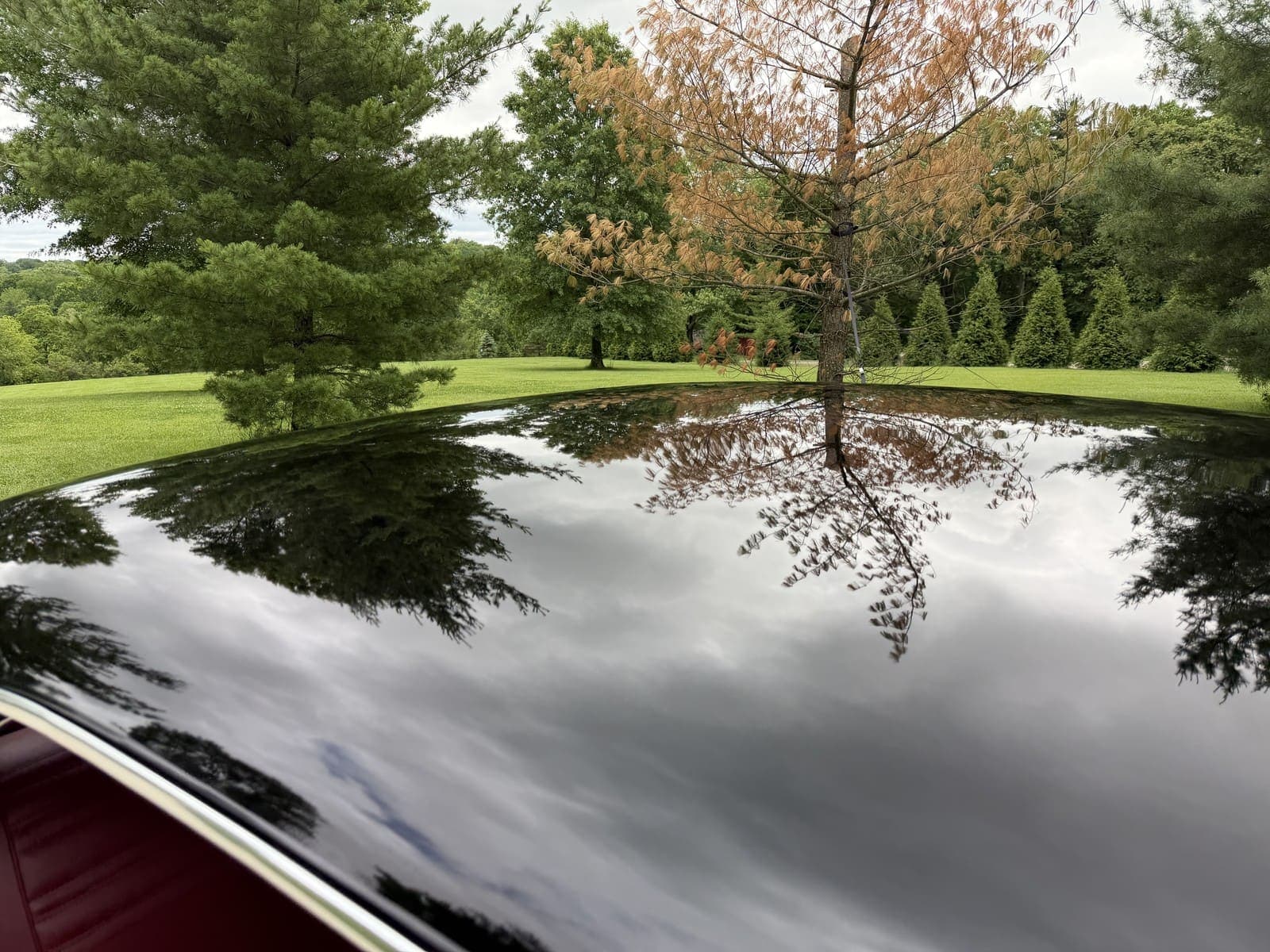 1967 Chevrolet Chevelle SS 396, view
