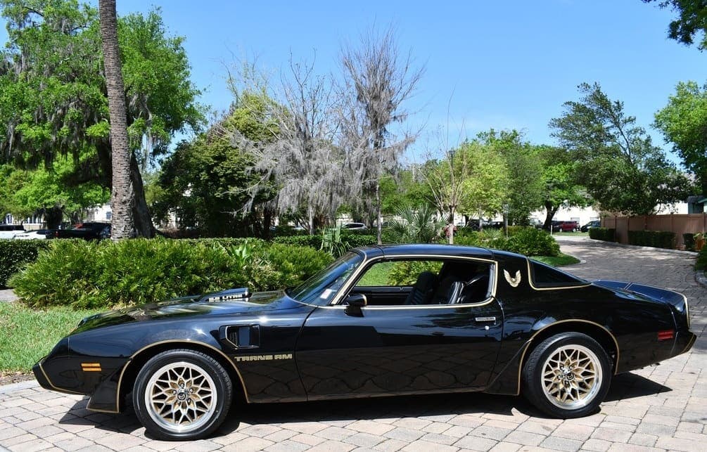 1979 Pontiac Trans Am Y84  “Bandit”, view