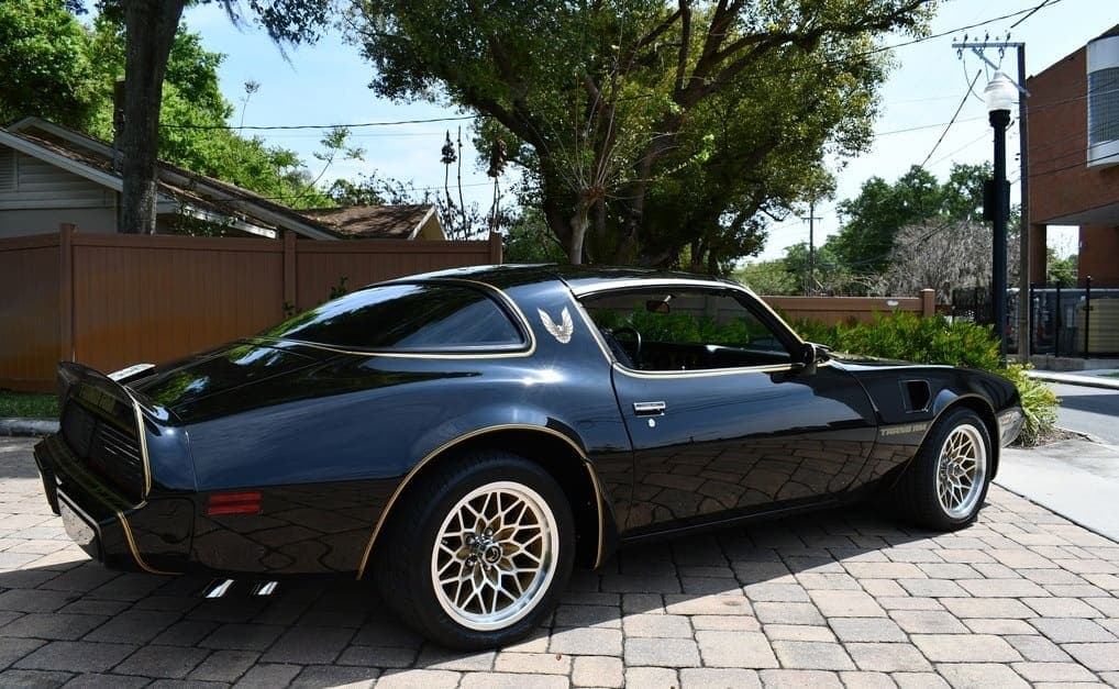1979 Pontiac Trans Am Y84  “Bandit”, view