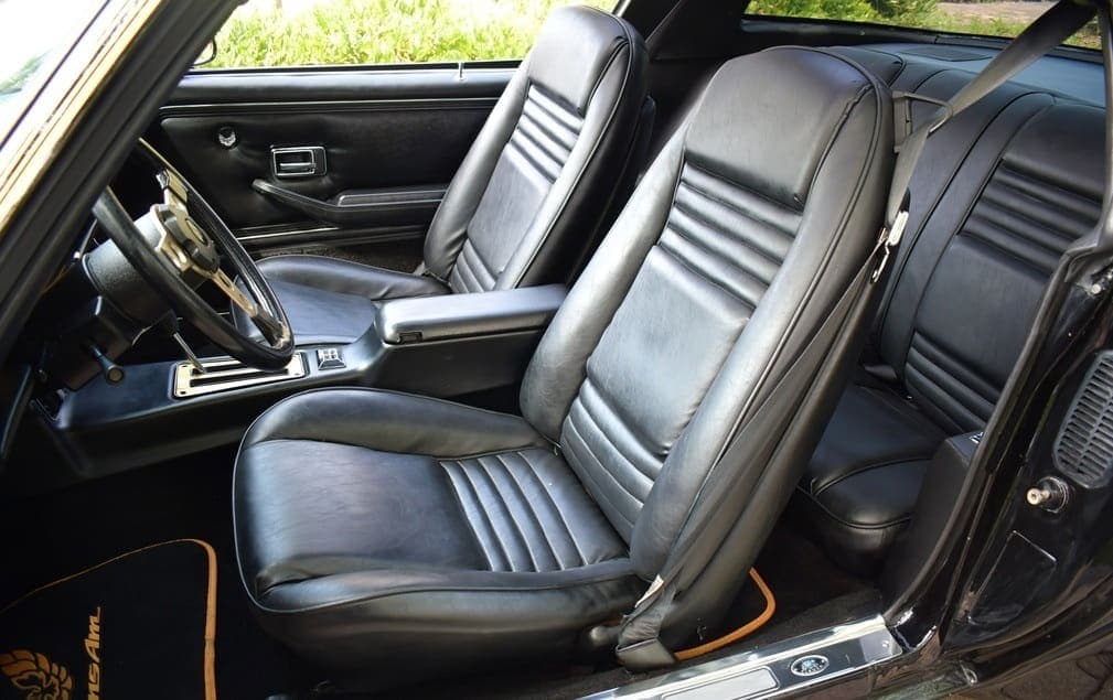 1979 Pontiac Trans Am Y84  “Bandit”, view