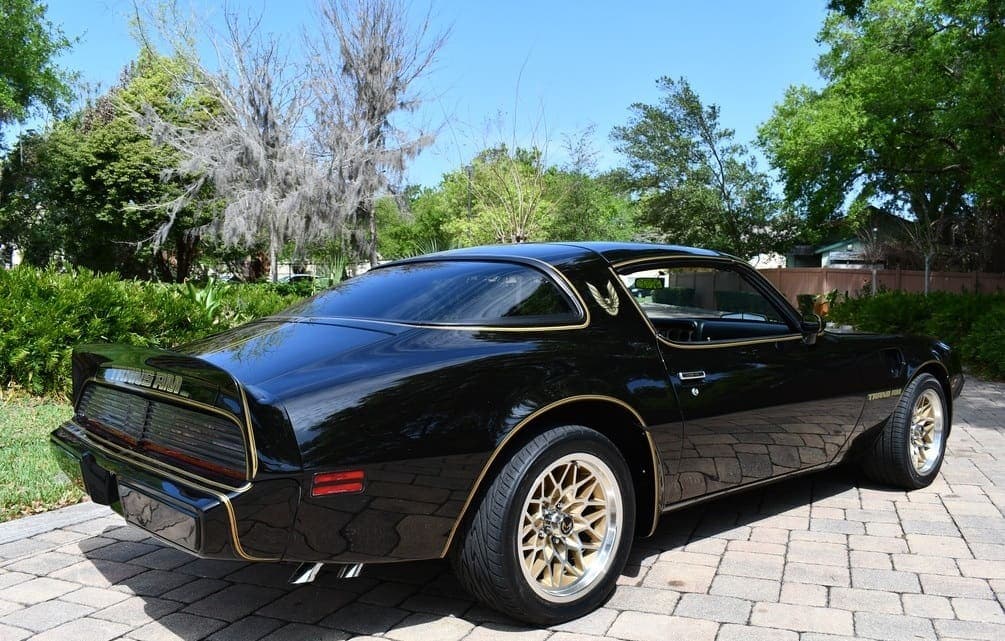 1979 Pontiac Trans Am Y84  “Bandit”, view