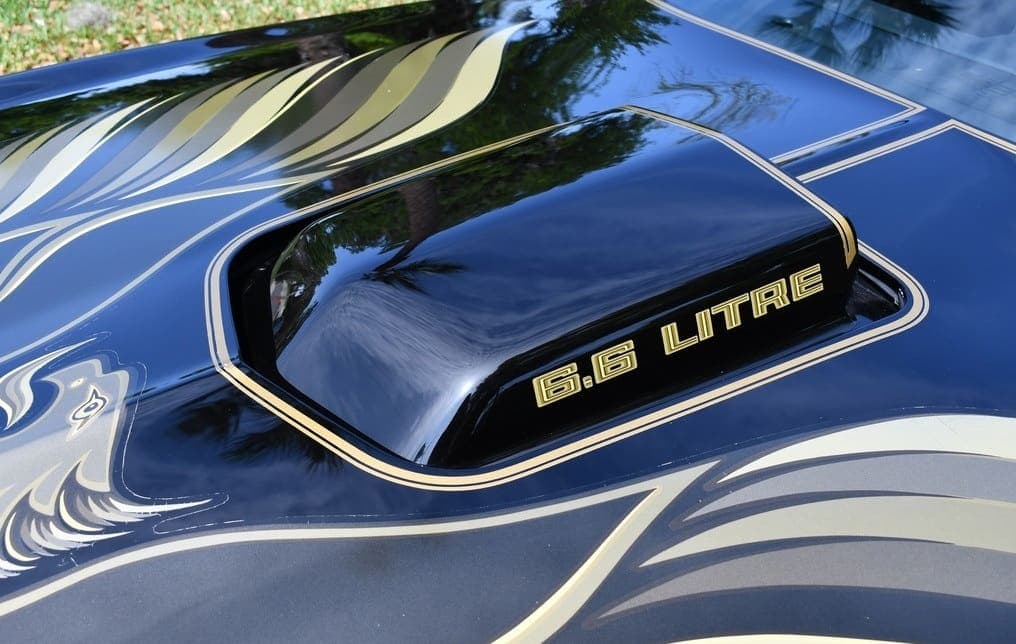 1979 Pontiac Trans Am Y84  “Bandit”, view