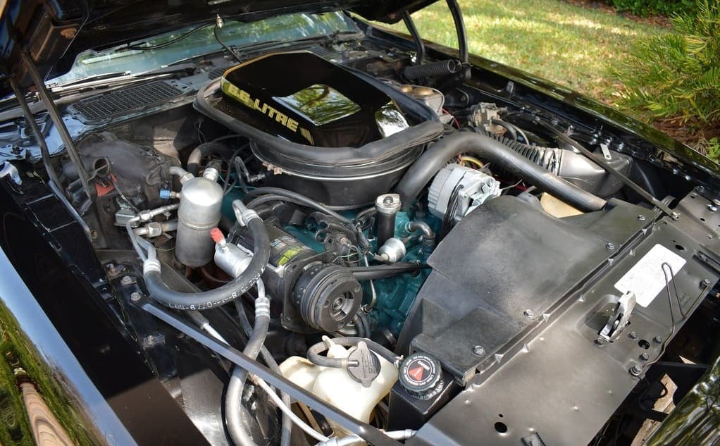 1979 Pontiac Trans Am Y84  “Bandit”, view