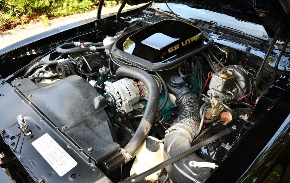 1979 Pontiac Trans Am Y84  “Bandit”, view