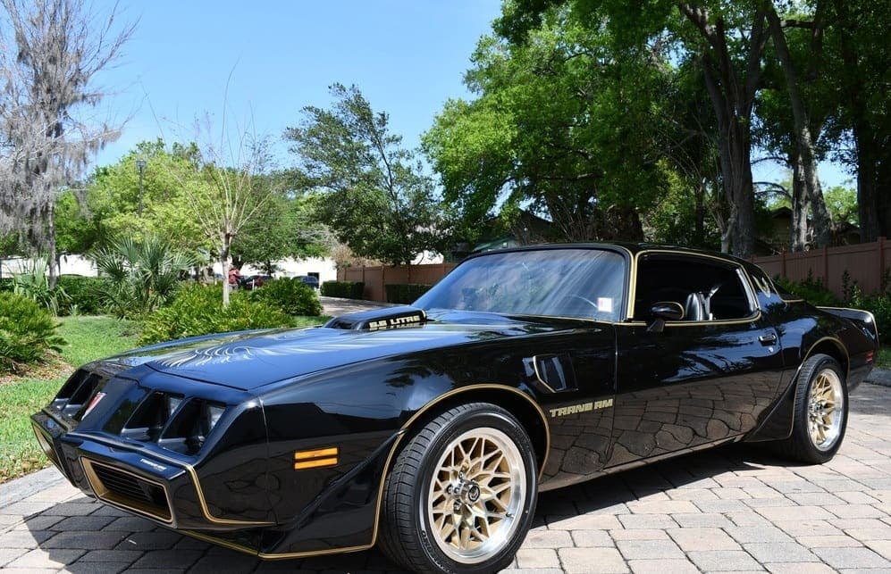 1979 Pontiac Trans Am Y84  “Bandit”, view