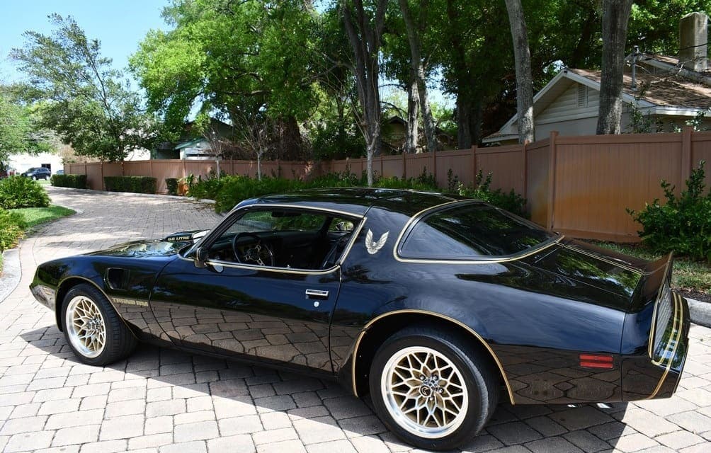 1979 Pontiac Trans Am Y84  “Bandit”, view