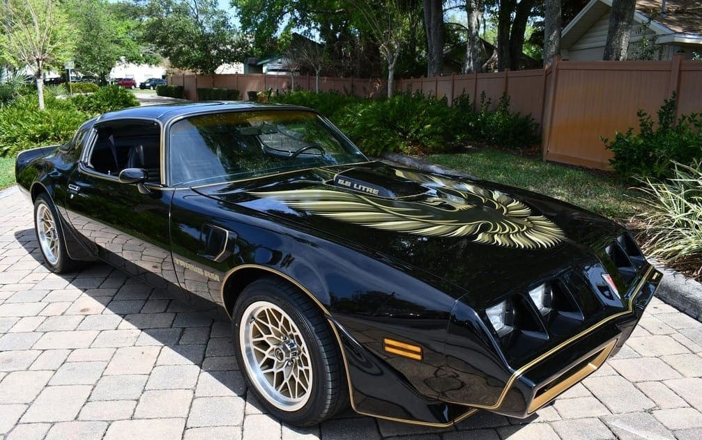 1979 Pontiac Trans Am Y84  “Bandit”, view