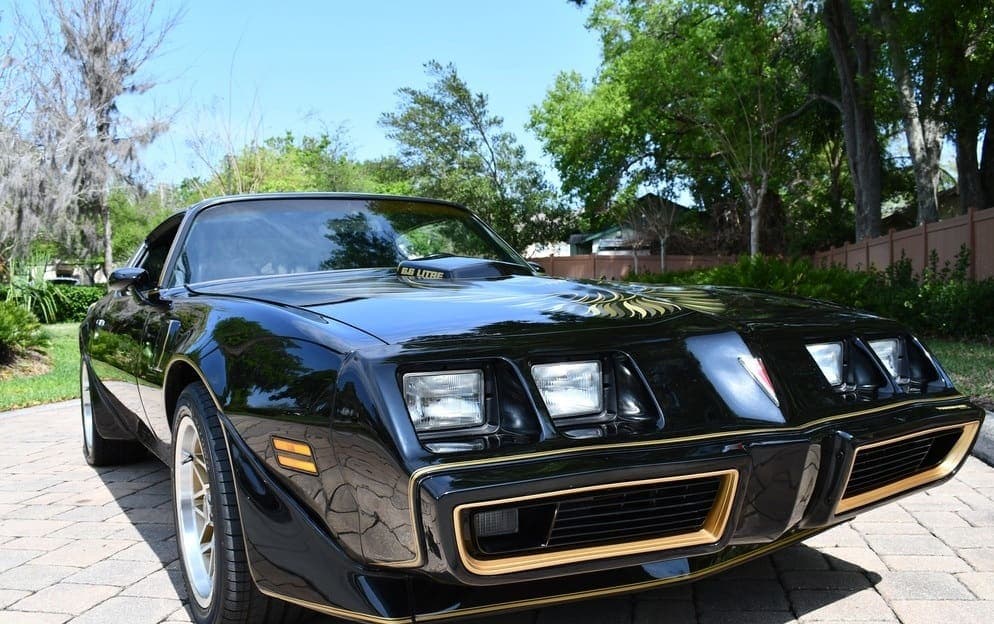 1979 Pontiac Trans Am Y84  “Bandit”, view