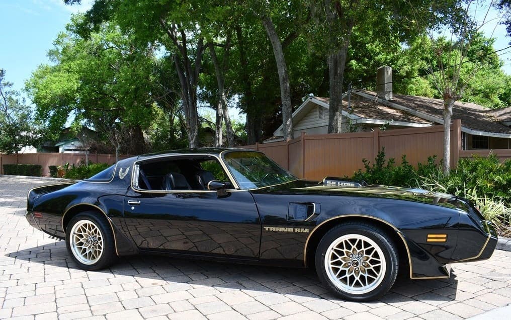 1979 Pontiac Trans Am Y84  “Bandit”, view
