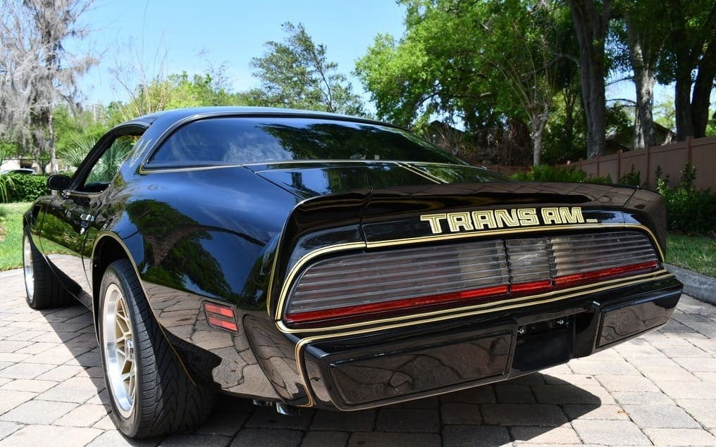 1979 Pontiac Trans Am Y84  “Bandit”, view