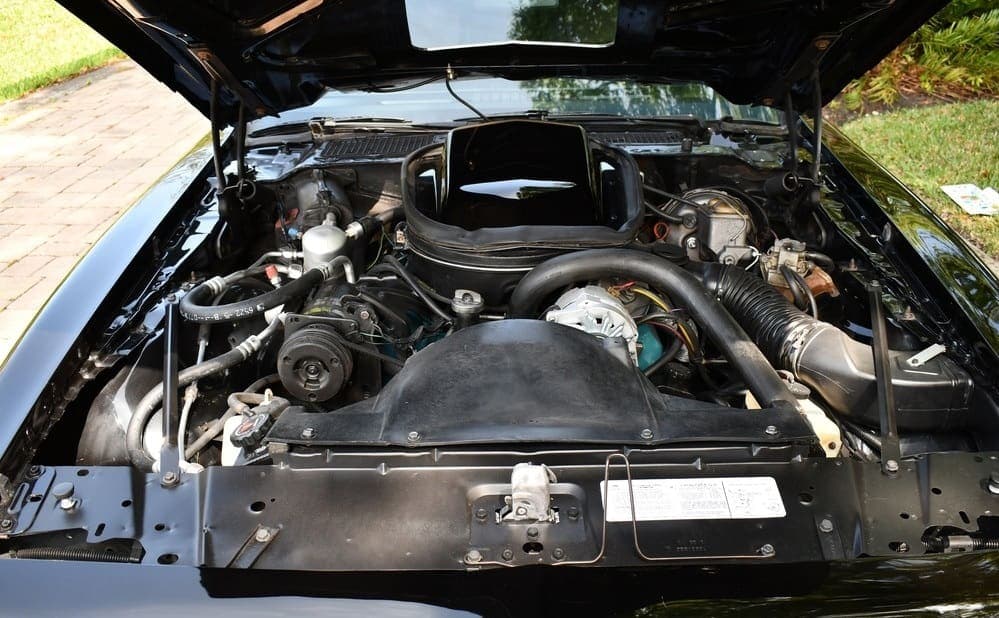 1979 Pontiac Trans Am Y84  “Bandit”, view