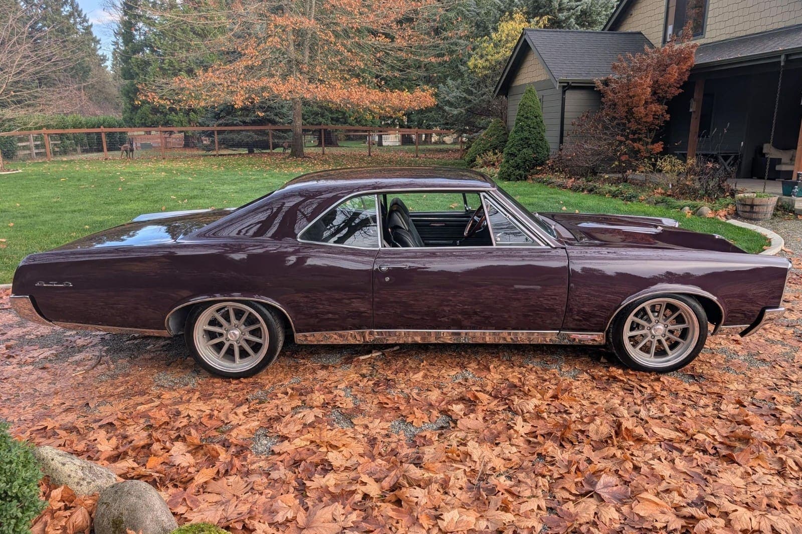 1967 Pontiac GTO, view