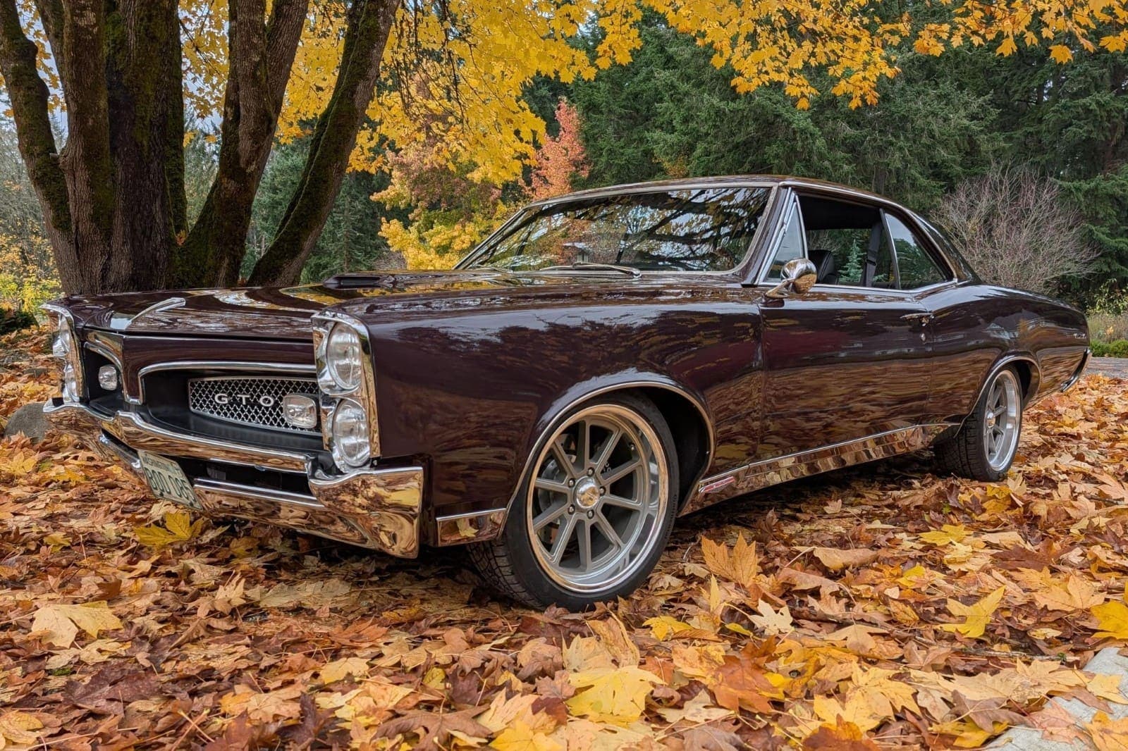 1967 Pontiac GTO, view