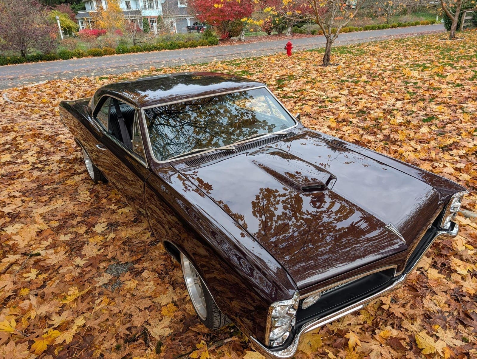 1967 Pontiac GTO, view