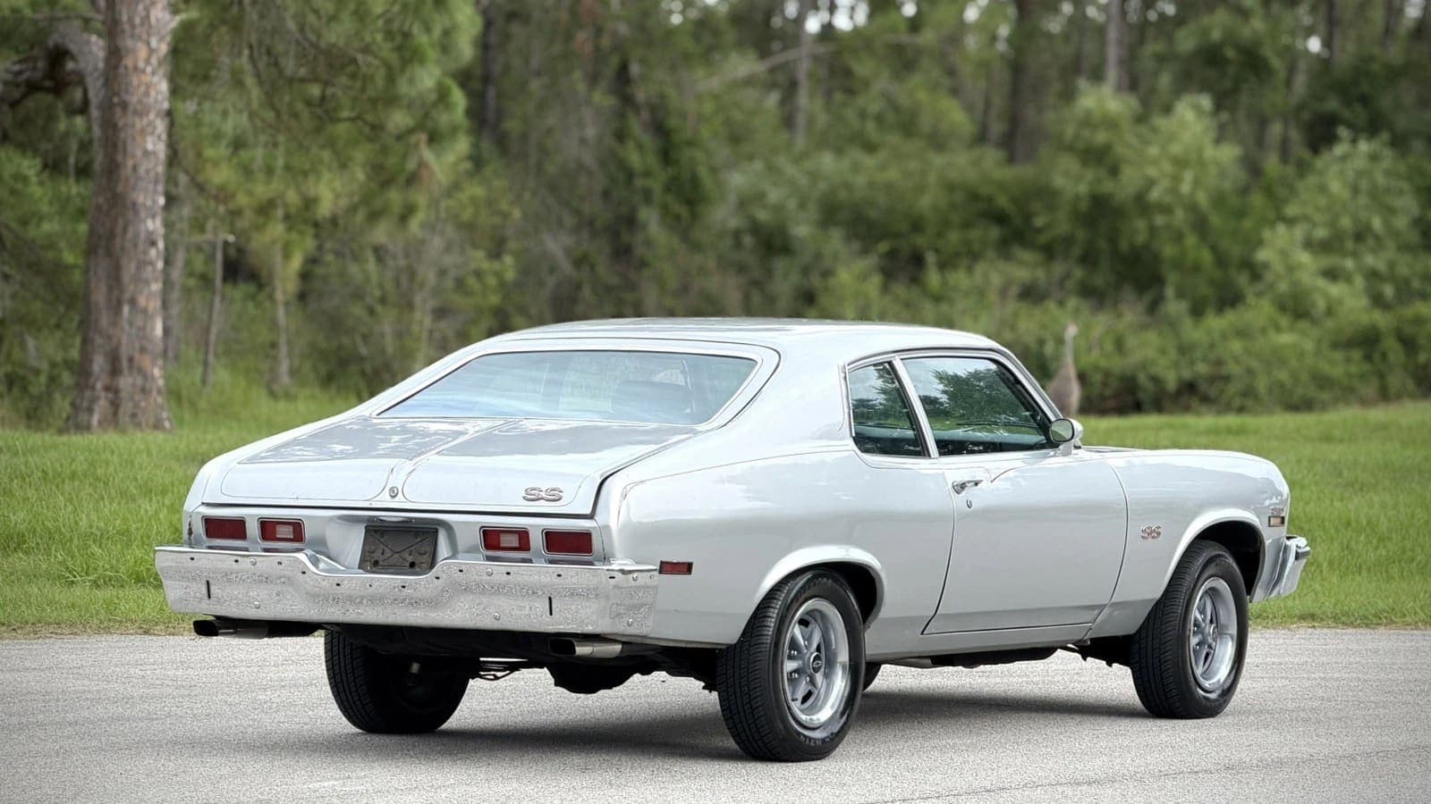1973 Chevrolet Nova SS, view