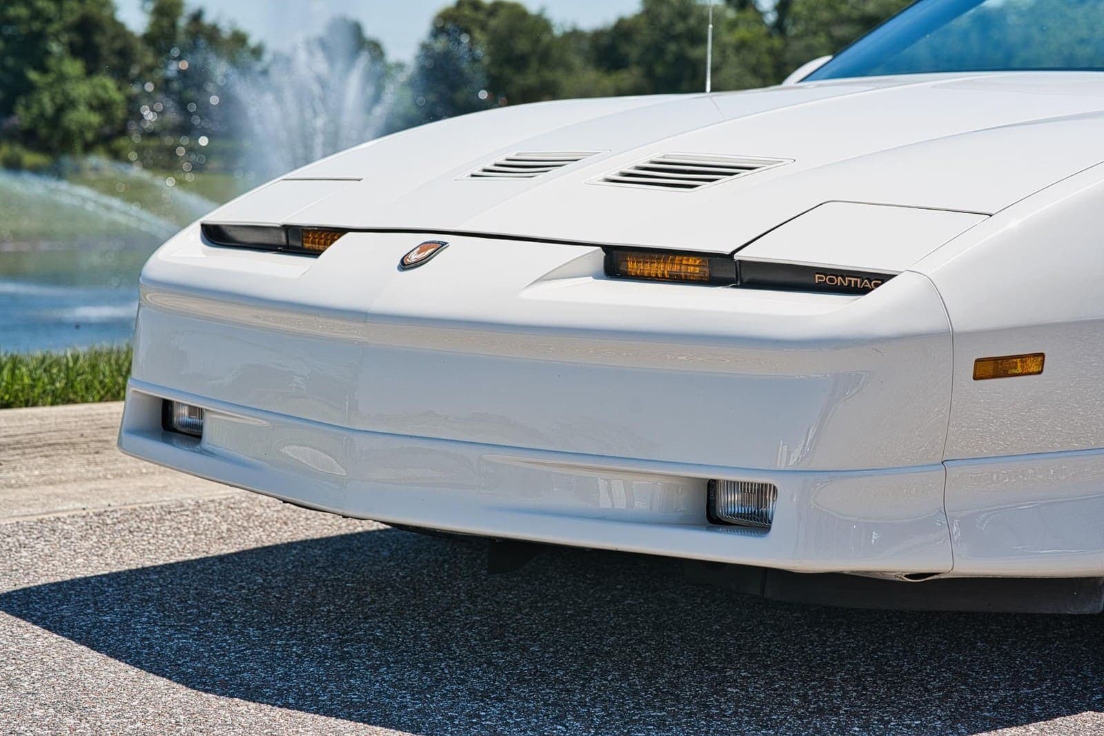 1989 Pontiac Firebird Turbo Trans Am, view