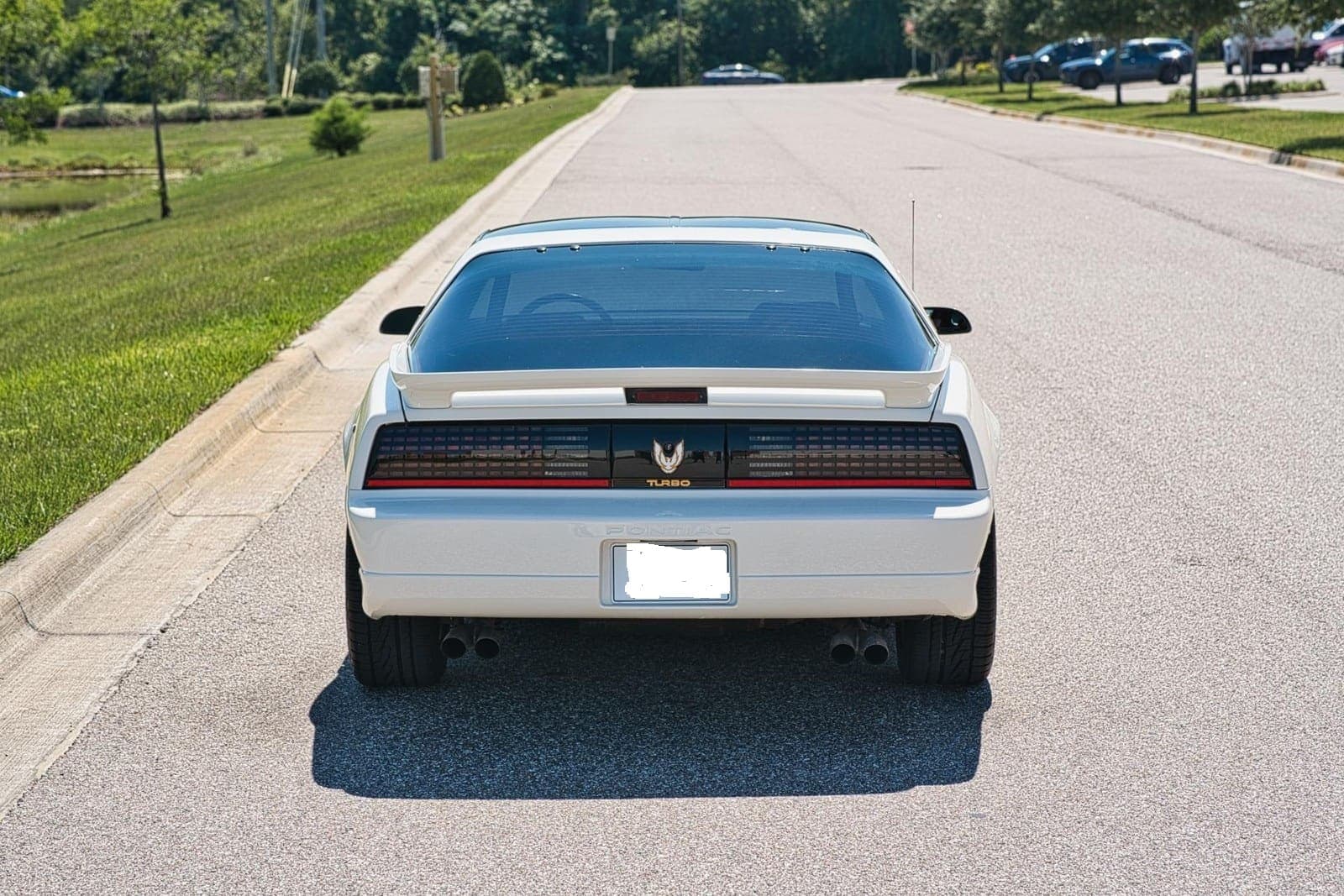1989 Pontiac Firebird Turbo Trans Am, view