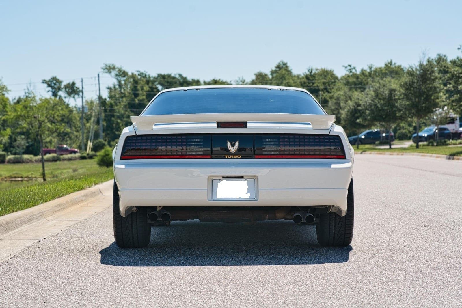 1989 Pontiac Firebird Turbo Trans Am, view
