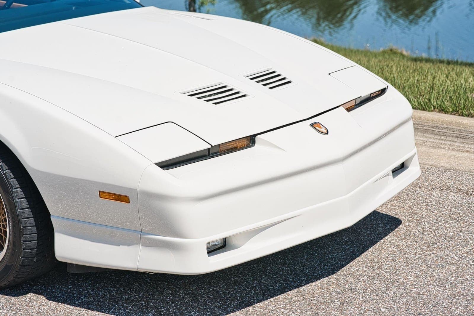 1989 Pontiac Firebird Turbo Trans Am, view