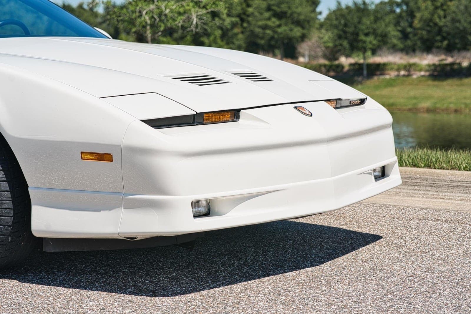 1989 Pontiac Firebird Turbo Trans Am, view