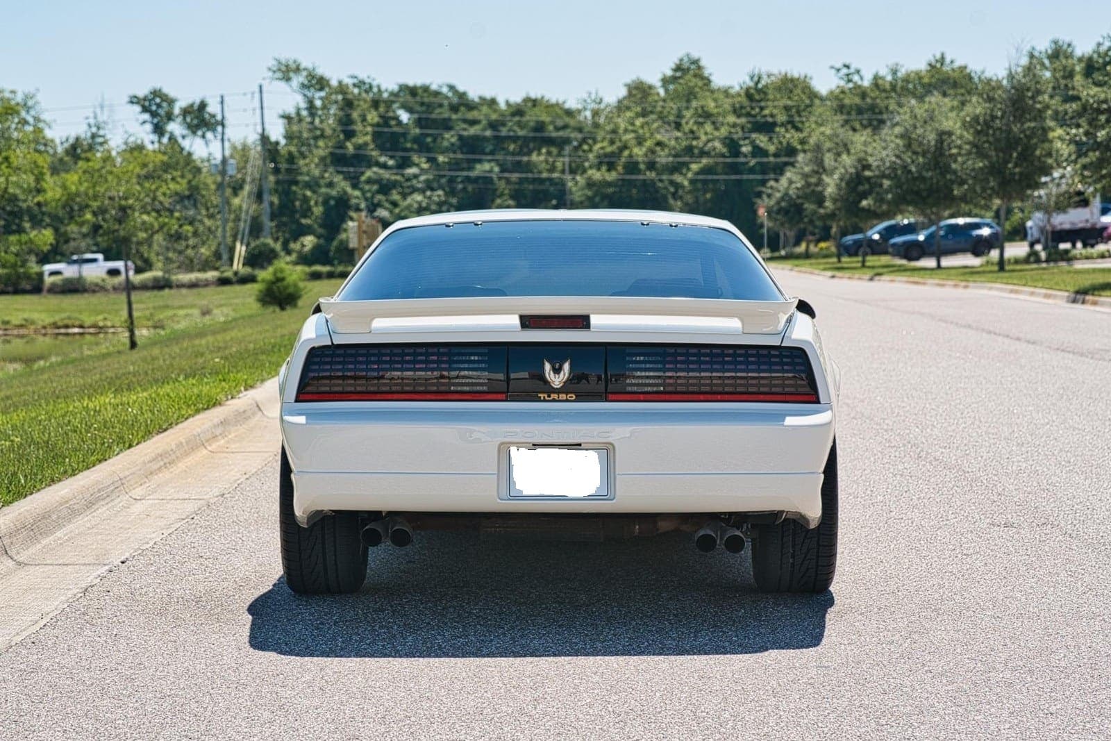 1989 Pontiac Firebird Turbo Trans Am, view