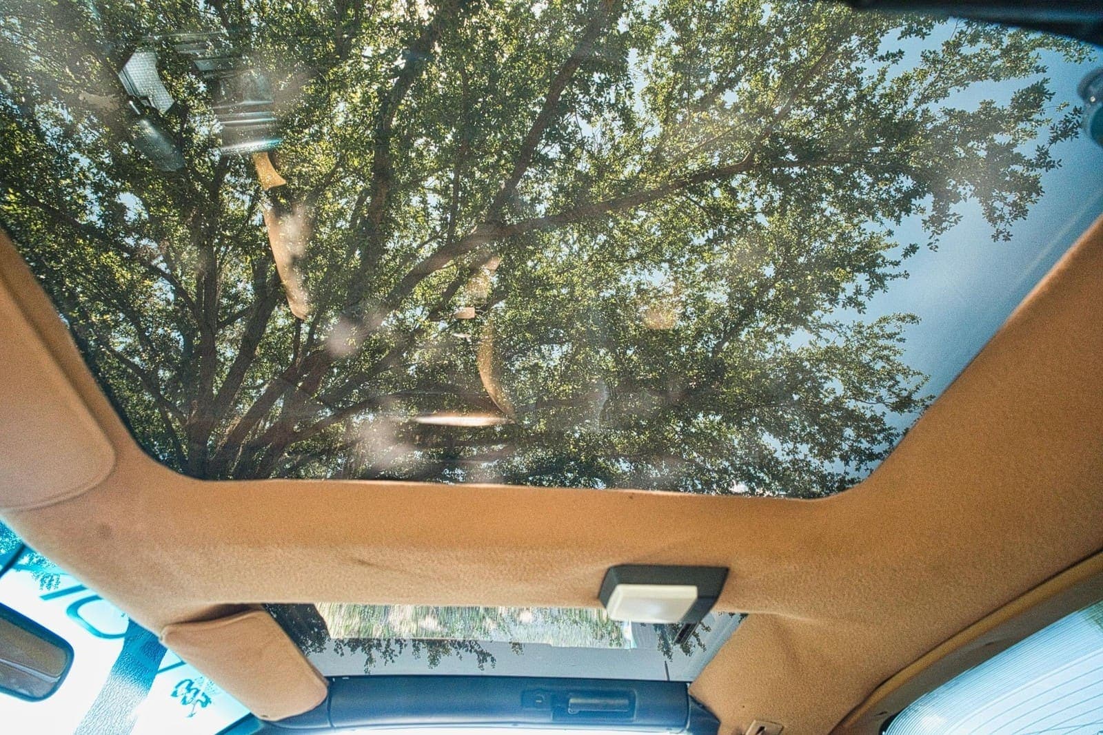 1989 Pontiac Firebird Turbo Trans Am, view