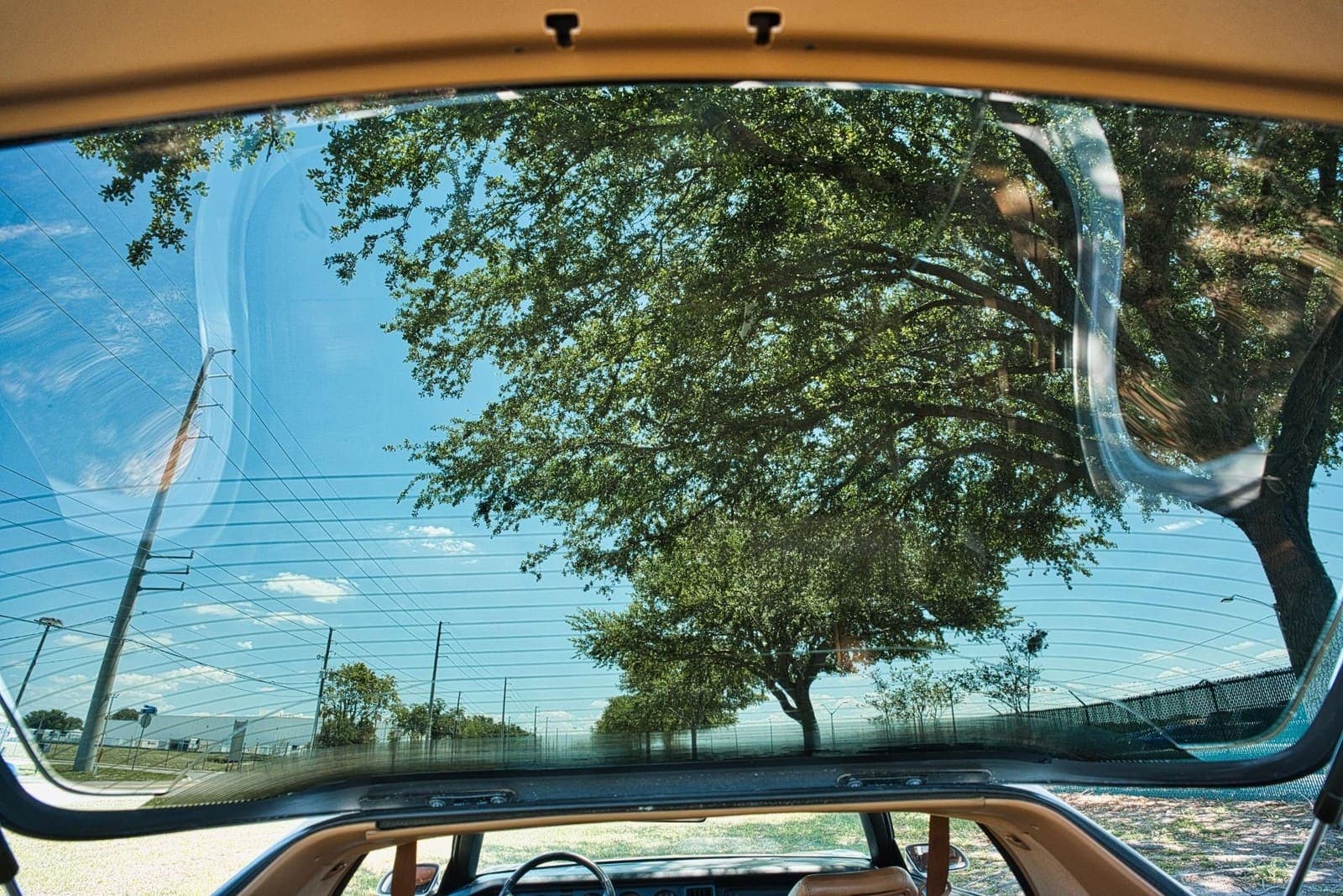 1989 Pontiac Firebird Turbo Trans Am, view